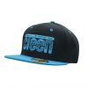 Pro Styling Cap