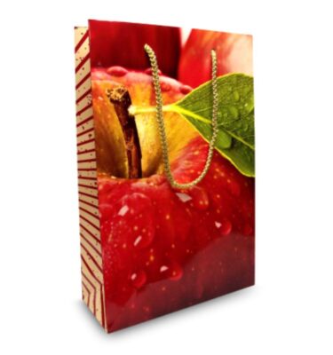Large Gift Bag | Promotional merchandise | Branded Merchandise | Printed Products