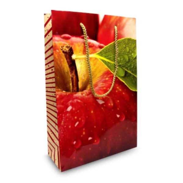 Large Gift Bag | Promotional merchandise | Branded Merchandise | Printed Products
