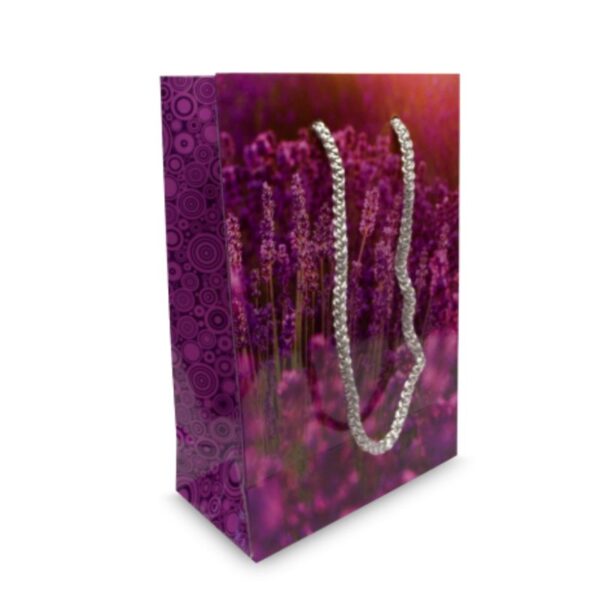 Bespoke Small Gift Bag | Promotional merchandise | Branded Merchandise | Printed Products