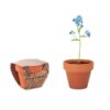 Flower Pot Forget Me Not