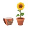 Flower Pot Sunflower
